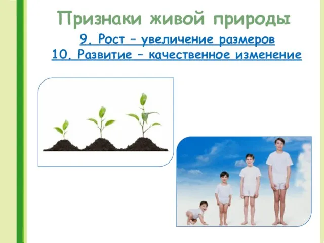 Признаки живой природы 9. Рост – увеличение размеров 10. Развитие – качественное изменение
