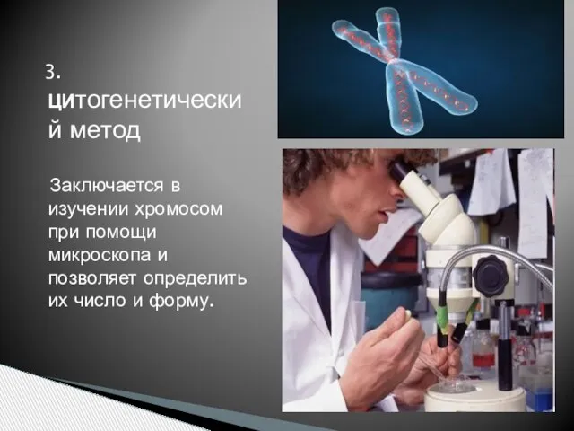 3.ЦИтогенетический метод Заключается в изучении хромосом при помощи микроскопа и позволяет определить их число и форму.