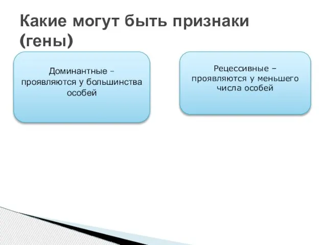 Какие могут быть признаки (гены) Доминантные – проявляются у большинства особей