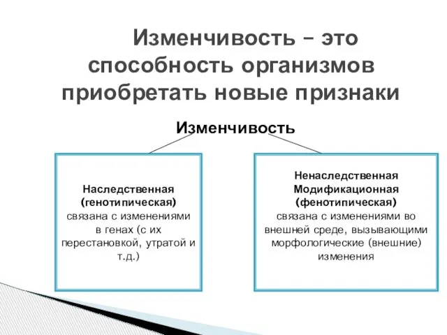 Изменчивость Изменчивость – это способность организмов приобретать новые признаки Ненаследственная Модификационная