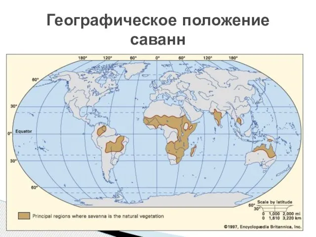 Географическое положение саванн