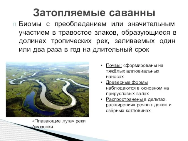 Биомы с преобладанием или значительным участием в травостое злаков, образующиеся в