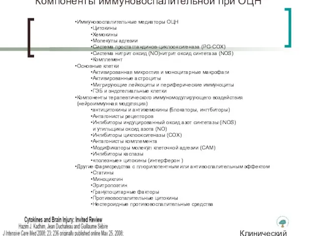 Клинический институт Мозга Компоненты иммуновоспалительной при ОЦН Иммуновоспалительные медиаторы ОЦН Цитокины