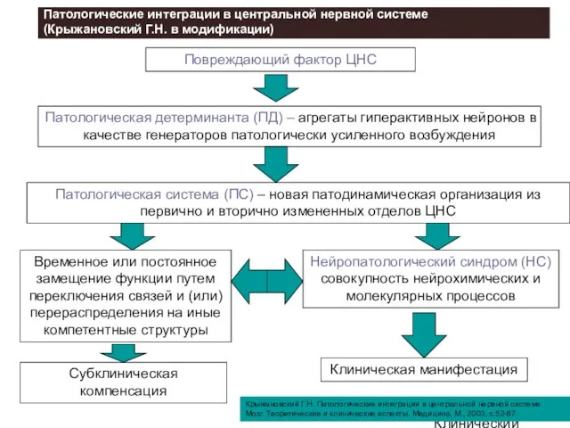 Клинический институт Мозга Повреждающий фактор ЦНС Патологическая детерминанта (ПД) – агрегаты