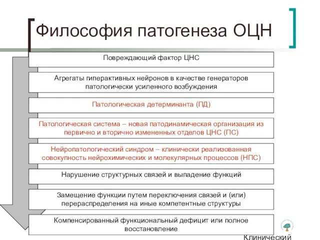 Клинический институт Мозга Философия патогенеза ОЦН