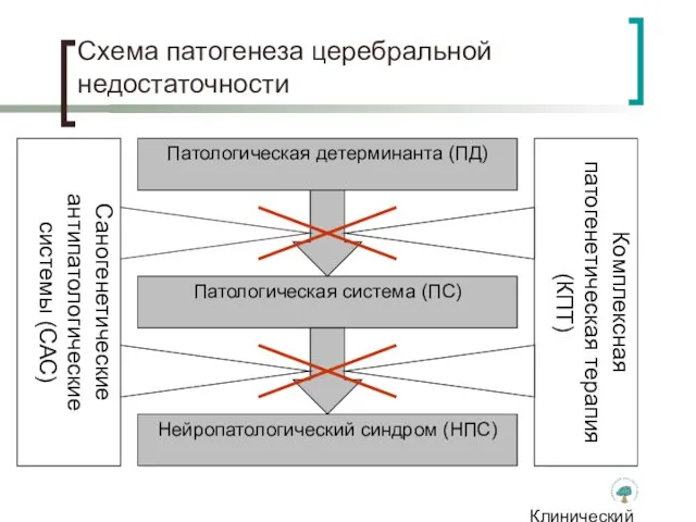 Клинический институт Мозга Схема патогенеза церебральной недостаточности