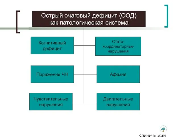 Клинический институт Мозга Острый очаговый дефицит (ООД) как патологическая система Афазия