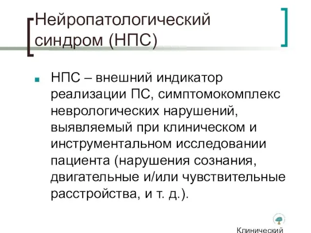 Клинический институт Мозга Нейропатологический синдром (НПС) НПС – внешний индикатор реализации