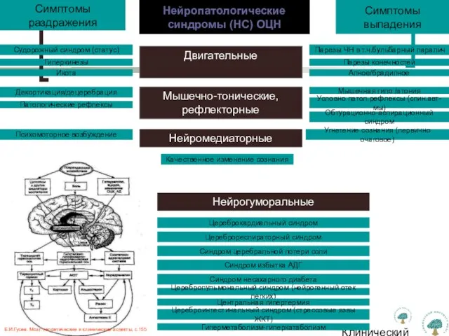 Клинический институт Мозга Нейропатологические синдромы (НС) ОЦН Симптомы выпадения Симптомы раздражения