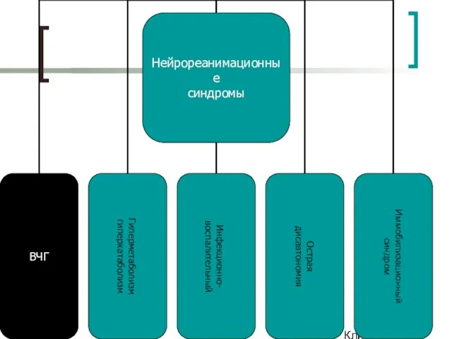 Клинический институт Мозга