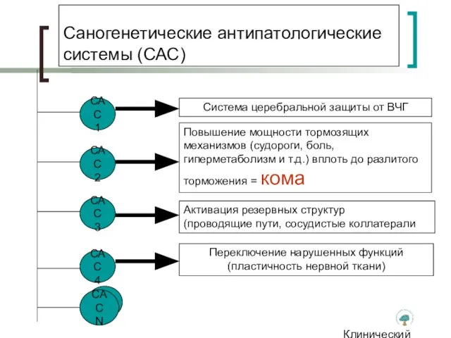 Клинический институт Мозга Саногенетические антипатологические системы (САС) Система церебральной защиты от