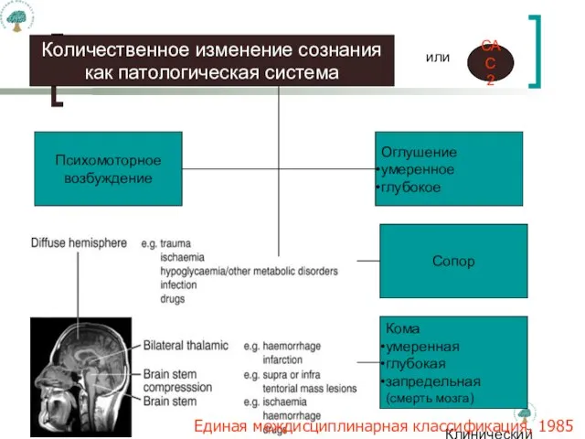 Клинический институт Мозга Количественное изменение сознания как патологическая система Психомоторное возбуждение