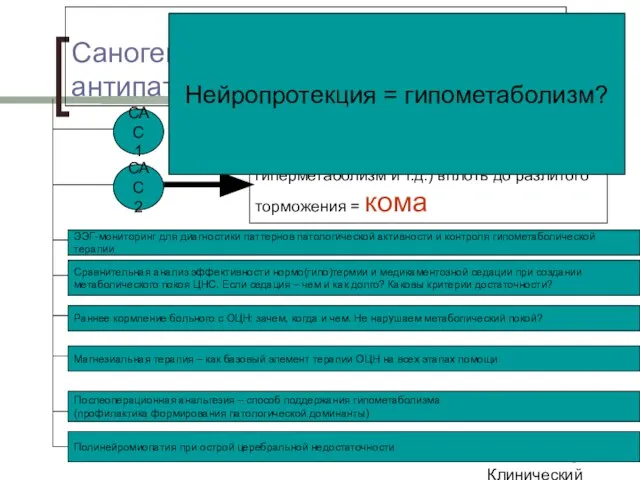 Клинический институт Мозга Саногенетические антипатологические системы (САС) Повышение мощности тормозящих механизмов