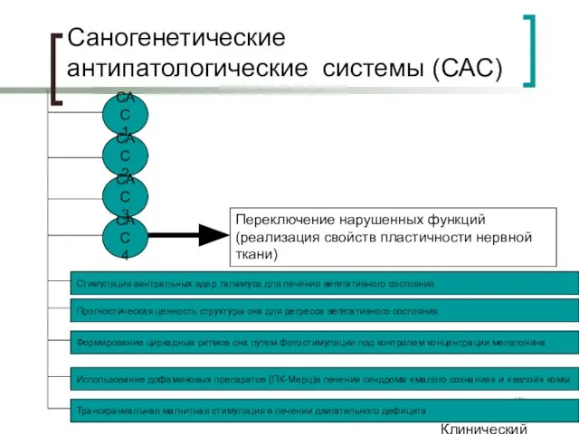 Клинический институт Мозга Саногенетические антипатологические системы (САС) Переключение нарушенных функций (реализация