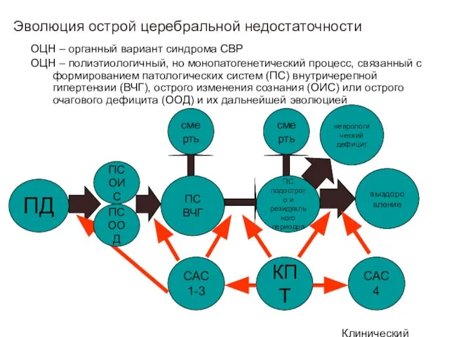 Клинический институт Мозга Эволюция острой церебральной недостаточности ОЦН – органный вариант