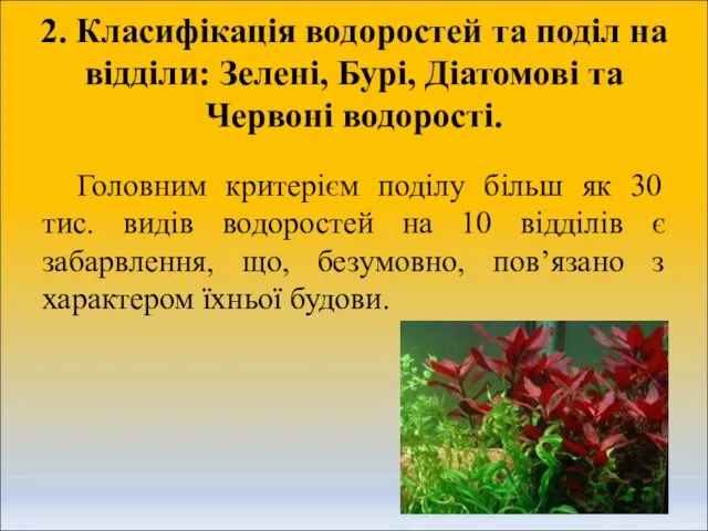 2. Класифікація водоростей та поділ на відділи: Зелені, Бурі, Діатомові та