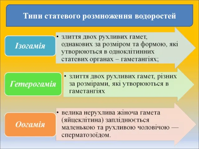 Типи статевого розмноження водоростей