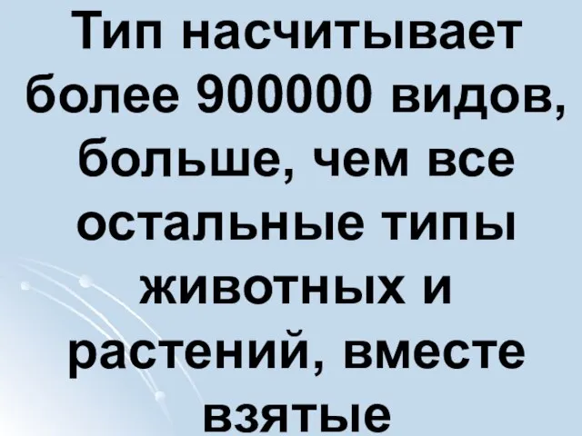 Тип насчитывает более 900000 видов, больше, чем все остальные типы животных и растений, вместе взятые