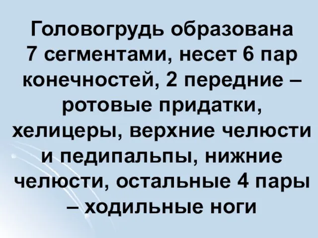 Головогрудь образована 7 сегментами, несет 6 пар конечностей, 2 передние –