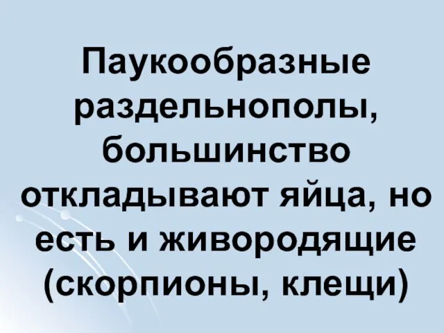 Паукообразные раздельнополы, большинство откладывают яйца, но есть и живородящие (скорпионы, клещи)