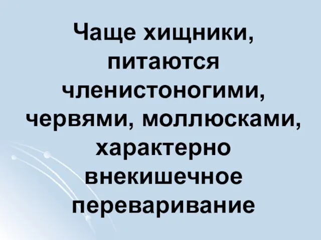 Чаще хищники, питаются членистоногими, червями, моллюсками, характерно внекишечное переваривание