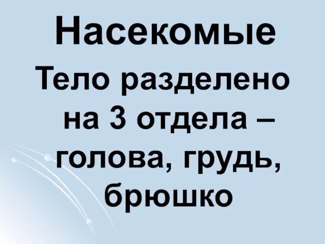 Насекомые Тело разделено на 3 отдела – голова, грудь, брюшко