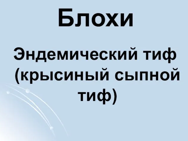 Блохи Эндемический тиф (крысиный сыпной тиф)