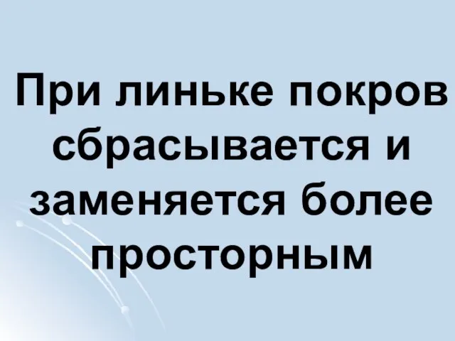 При линьке покров сбрасывается и заменяется более просторным