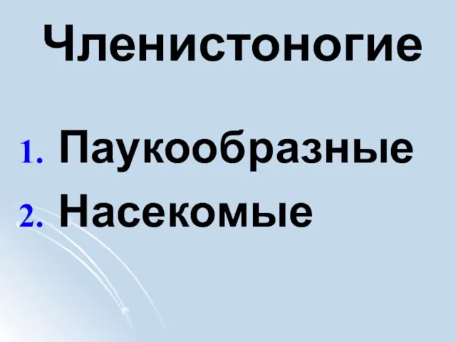 Членистоногие Паукообразные Насекомые