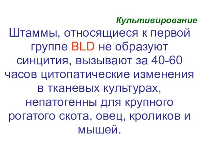 Культивирование Штаммы, относящиеся к первой группе BLD не образуют синцития, вызывают