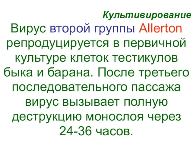 Культивирование Вирус второй группы Allerton репродуцируется в первичной культуре клеток тестикулов