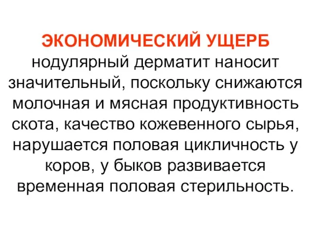 ЭКОНОМИЧЕСКИЙ УЩЕРБ нодулярный дерматит наносит значительный, поскольку снижаются молочная и мясная