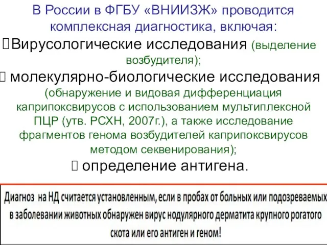 В России в ФГБУ «ВНИИЗЖ» проводится комплексная диагностика, включая: Вирусологические исследования