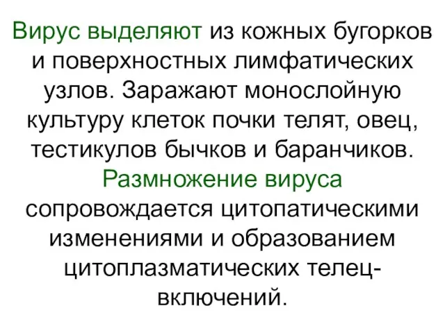 Вирус выделяют из кожных бугорков и поверхностных лимфатических узлов. Заражают монослойную