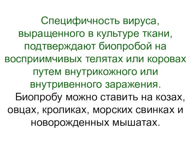 Специфичность вируса, выращенного в культуре ткани, подтверждают биопробой на восприимчивых телятах