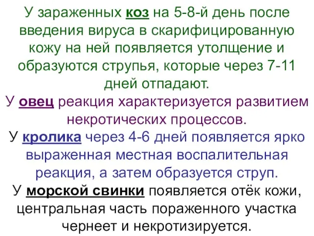 У зараженных коз на 5-8-й день после введения вируса в скарифицированную