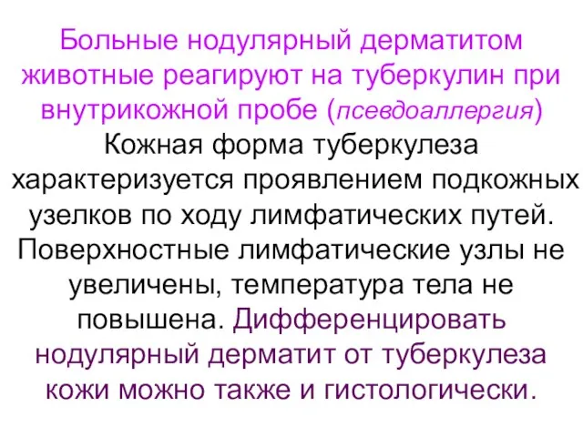 Больные нодулярный дерматитом животные реагируют на туберкулин при внутрикожной пробе (псевдоаллергия)