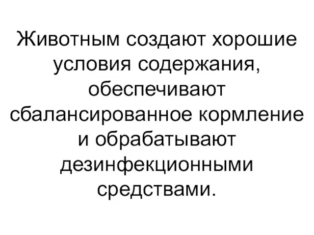 Животным создают хорошие условия содержания, обеспечивают сбалансированное кормление и обрабатывают дезинфекционными средствами.