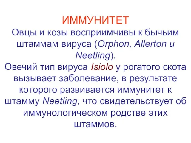 ИММУНИТЕТ Овцы и козы восприимчивы к бычьим штаммам вируса (Orphon, Allerton