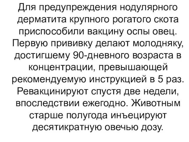 Для предупреждения нодулярного дерматита крупного рогатого скота приспособили вакцину оспы овец.