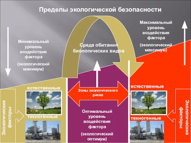 Пределы экологической безопасности Экологические факторы Экологические факторы естественные естественные техногенные техногенные