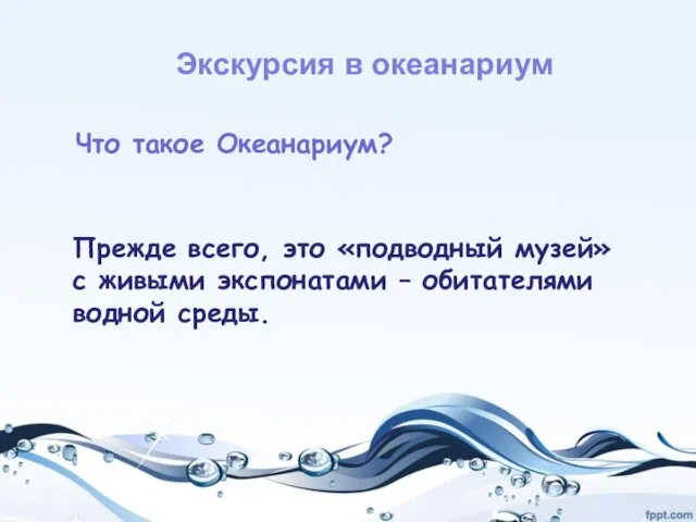 Экскурсия в океанариум Что такое Океанариум? Прежде всего, это «подводный музей»