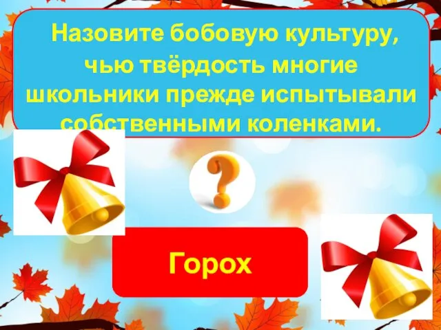 Горох Назовите бобовую культуру, чью твёрдость многие школьники прежде испытывали собственными коленками.