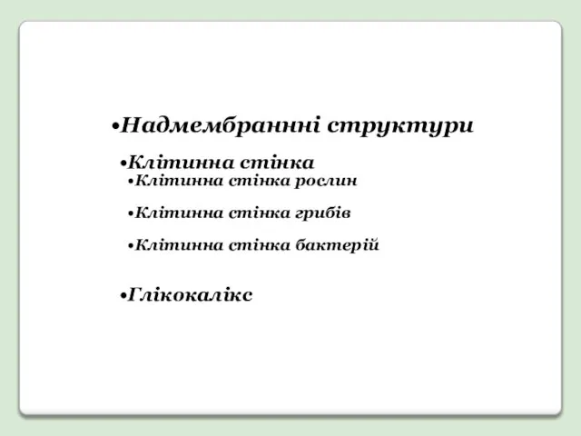 Надмембраннні структури Клітинна стінка Клітинна стінка рослин Клітинна стінка грибів Клітинна стінка бактерій Глікокалікс