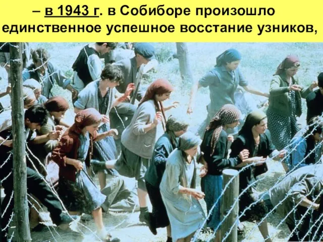 – в 1943 г. в Собиборе произошло единственное успешное восстание узников,