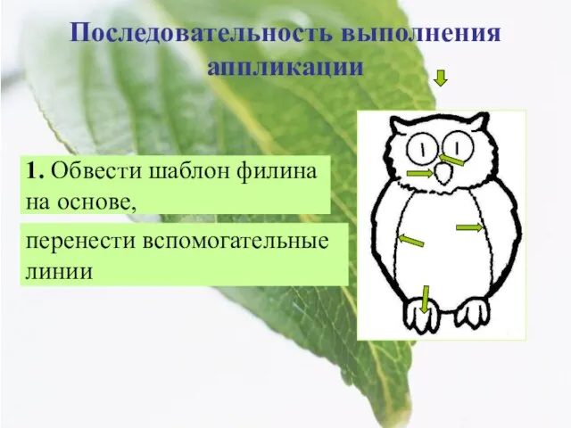 1. Обвести шаблон филина на основе, Последовательность выполнения аппликации перенести вспомогательные линии