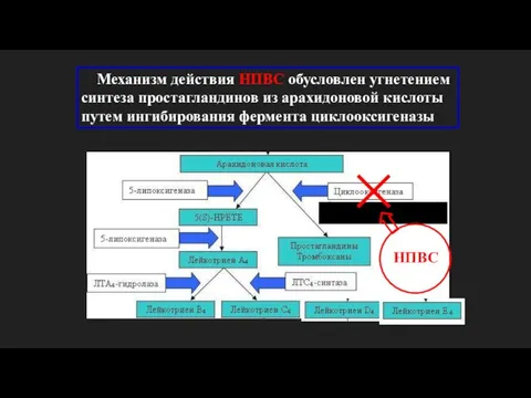 Механизм действия НПВС обусловлен угнетением синтеза простагландинов из арахидоновой кислоты путем ингибирования фермента циклооксигеназы НПВС