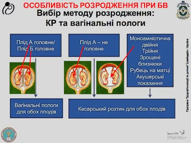 ОСОБЛИВІСТЬ РОЗРОДЖЕННЯ ПРИ БВ