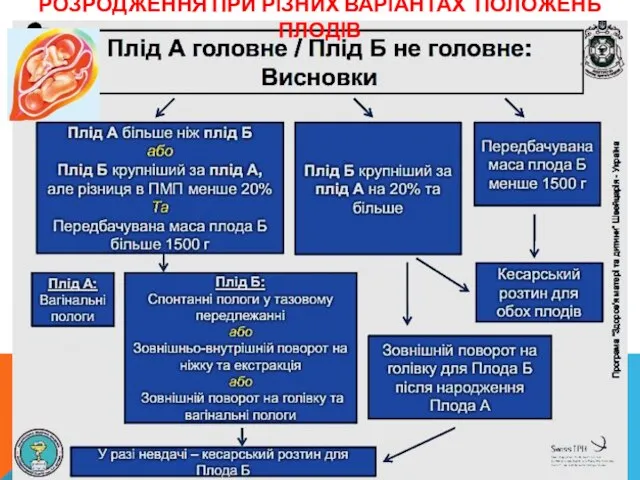 РОЗРОДЖЕННЯ ПРИ РІЗНИХ ВАРІАНТАХ ПОЛОЖЕНЬ ПЛОДІВ