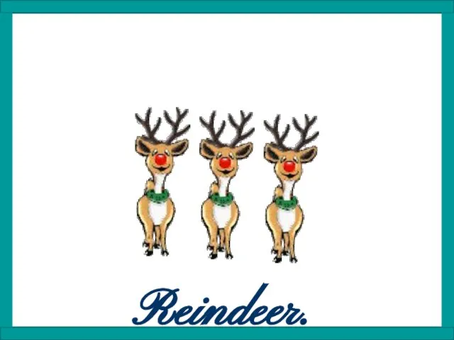 Reindeer.